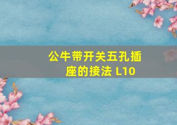 公牛带开关五孔插座的接法 L10